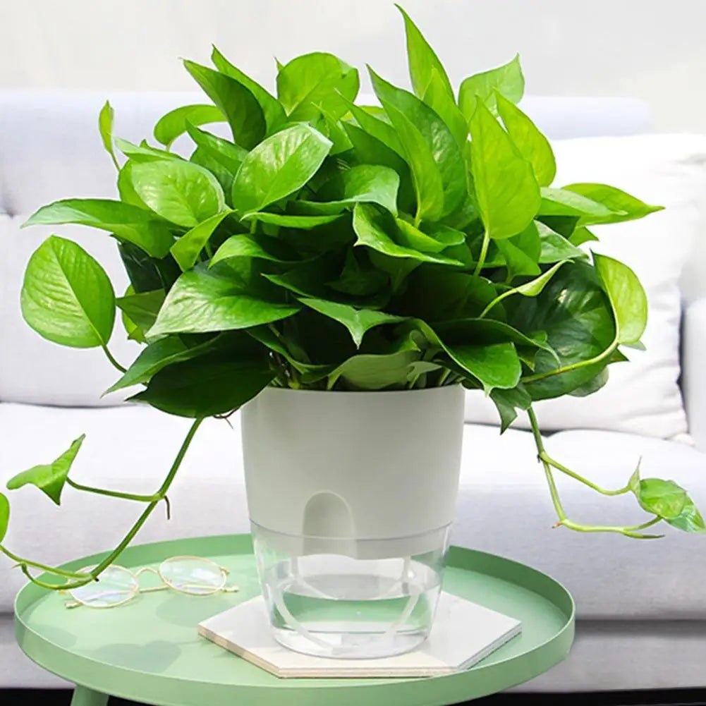 2 Layer Self Watering Plant Flower Pot Home Garden Decor Self Watering Pot Round Flowerpot for Indoor Outdoor Plants and Flowers